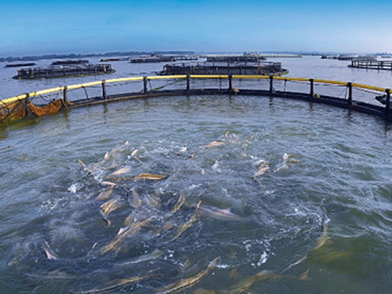 Improvement of water environment