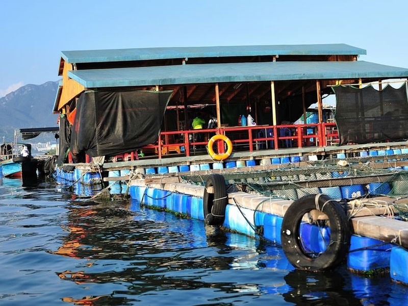 Water quality cleaning and improvement of ocean engineering