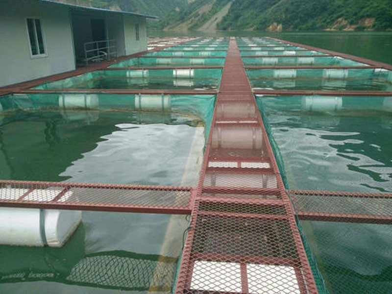 Improvement of pond bottom material 