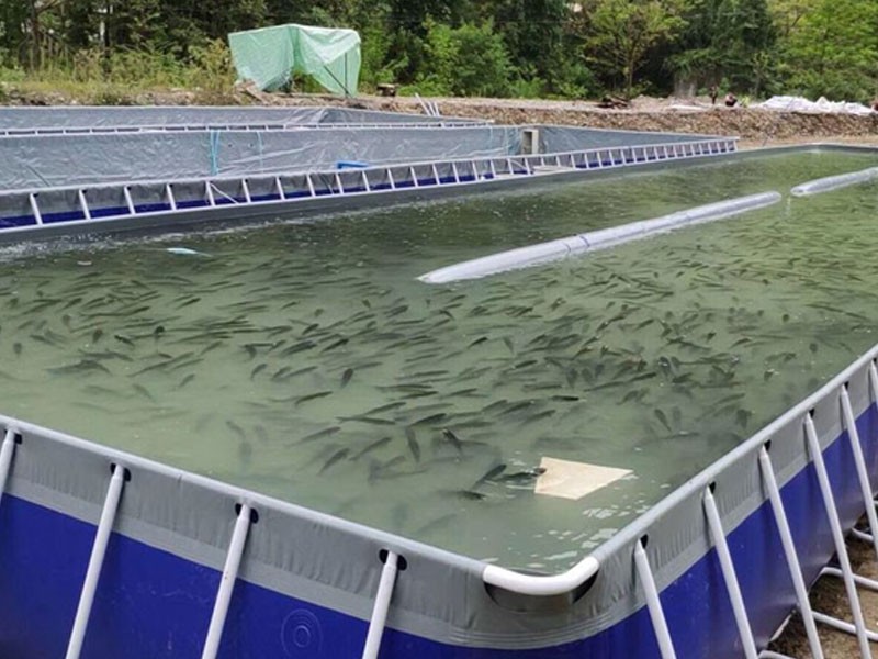 Aquaculture 