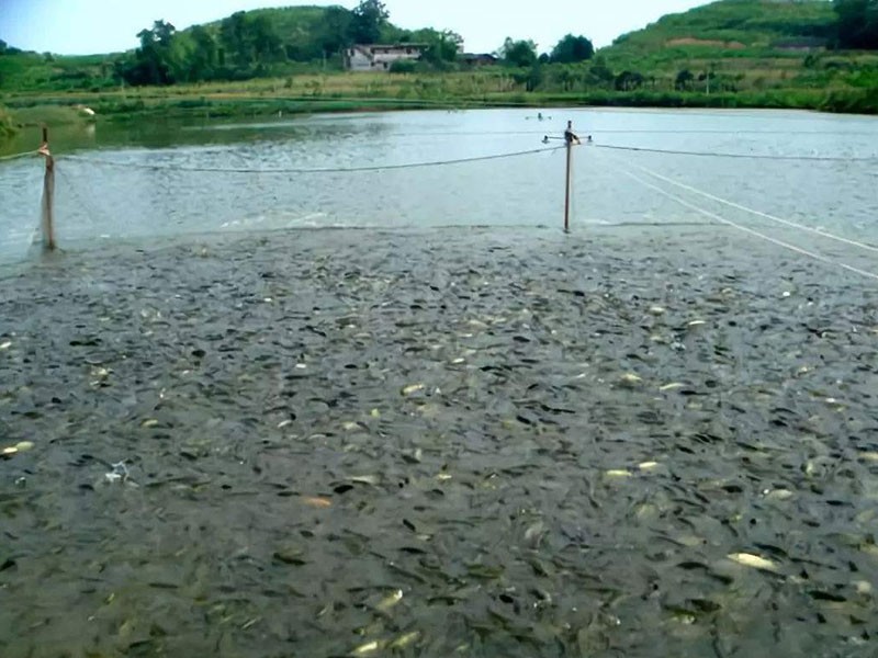 Improvement of pond bottom material